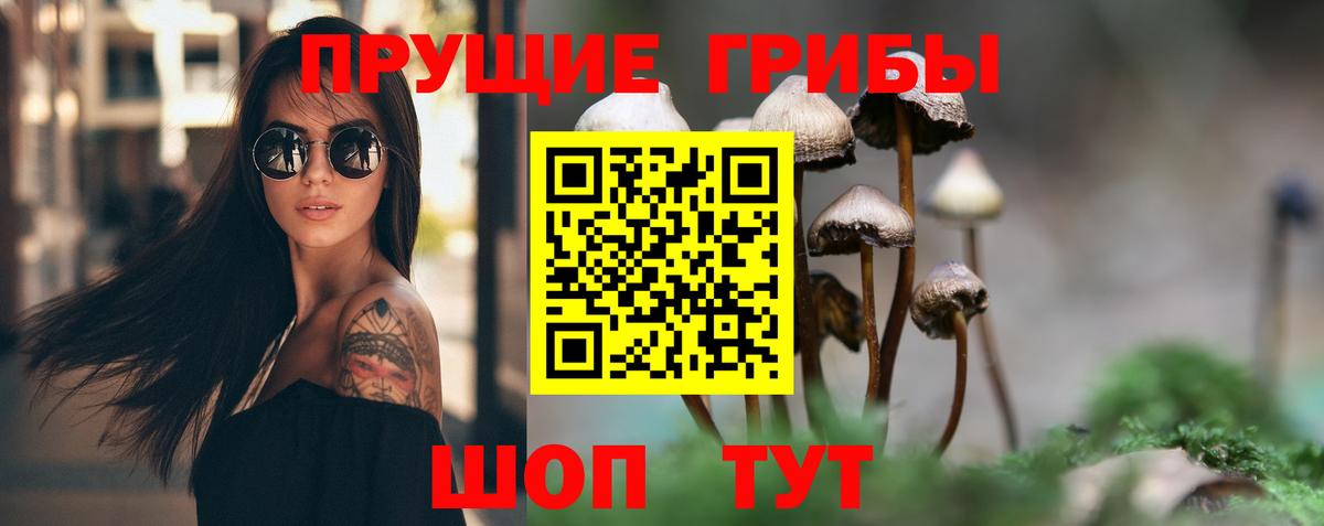 Галлюциногенные грибы Psilocybine cubensis Луга